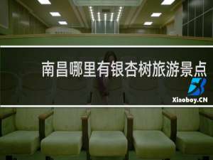 南昌哪里有银杏树旅游景点