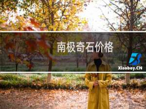 南极奇石价格