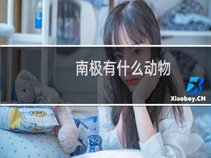 南极有什么动物