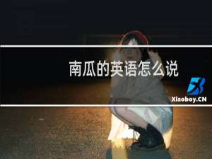 南瓜的英语怎么说