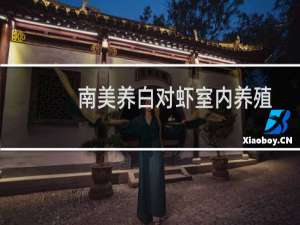南美养白对虾室内养殖