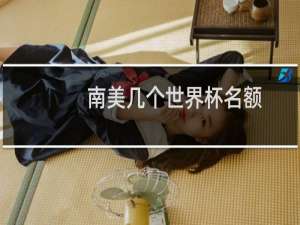 南美几个世界杯名额