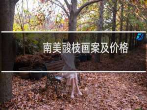 南美酸枝画案及价格