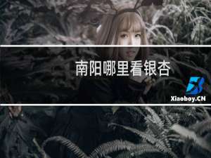 南阳哪里看银杏