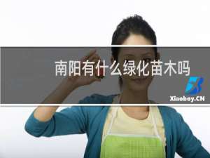南阳有什么绿化苗木吗