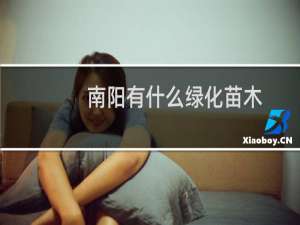 南阳有什么绿化苗木