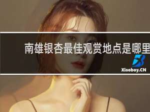 南雄银杏最佳观赏地点是哪里