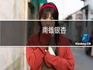 南雄银杏