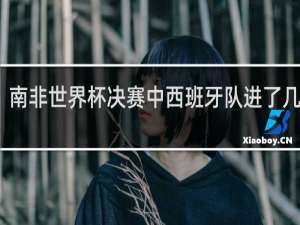南非世界杯决赛中西班牙队进了几个球