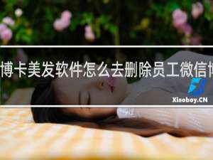 博卡美发软件怎么去删除员工微信博卡号