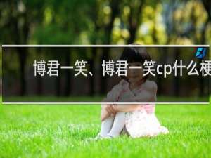 博君一笑、博君一笑cp什么梗