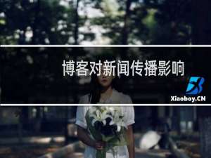 博客对新闻传播影响