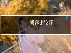 博客比较好
