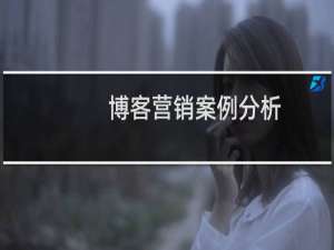 博客营销案例分析