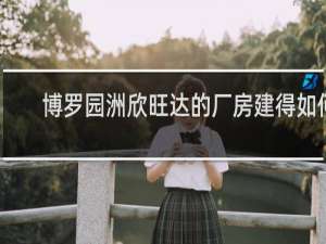 博罗园洲欣旺达的厂房建得如何