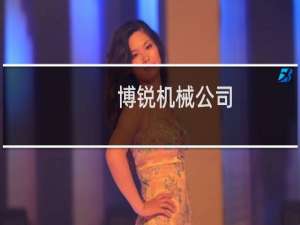 博锐机械公司