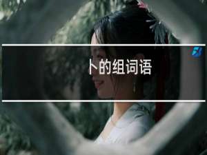卜的组词语