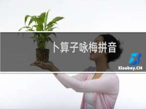 卜算子咏梅拼音（卜算子咏梅诗意）