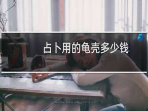 占卜用的龟壳多少钱