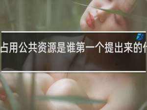 占用公共资源是谁第一个提出来的什么梗