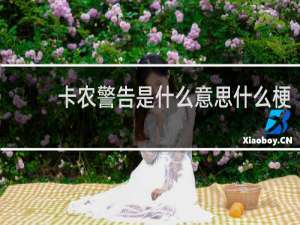 卡农警告是什么意思什么梗