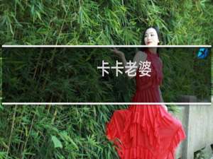 卡卡老婆