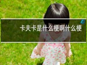 卡夫卡是什么梗啊什么梗