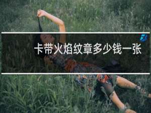 卡带火焰纹章多少钱一张