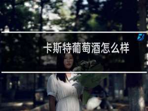 卡斯特葡萄酒怎么样