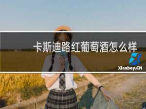 卡斯迪路红葡萄酒怎么样
