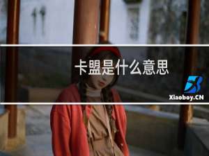 卡盟是什么意思（卡盟是什么）
