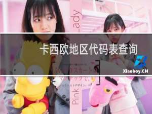 卡西欧地区代码表查询（卡西欧地区代码）