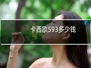 卡西欧593多少钱