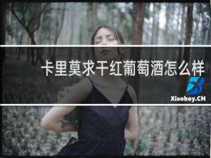卡里莫求干红葡萄酒怎么样