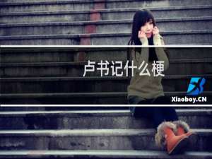 卢书记什么梗