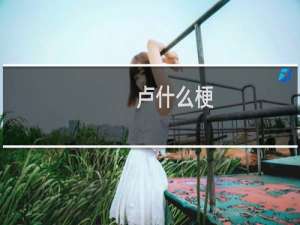 卢什么梗