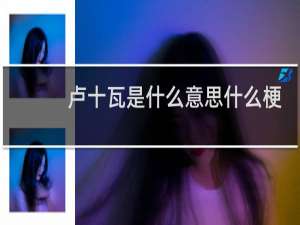 卢十瓦是什么意思什么梗