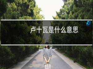 卢十瓦是什么意思，是怎么来的什么梗