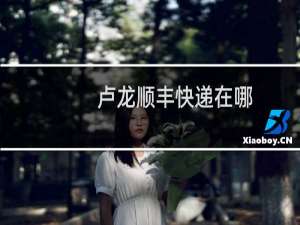 卢龙顺丰快递在哪