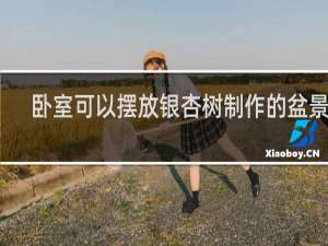 卧室可以摆放银杏树制作的盆景吗