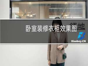 卧室装修衣柜效果图