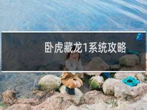卧虎藏龙1系统攻略