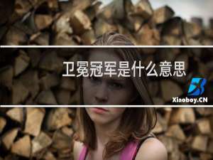 卫冕冠军是什么意思