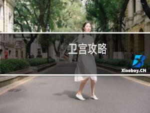 卫宫攻略