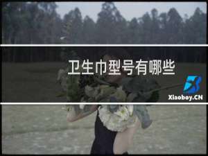 卫生巾型号有哪些