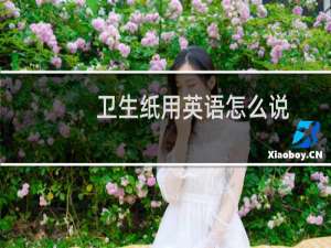 卫生纸用英语怎么说