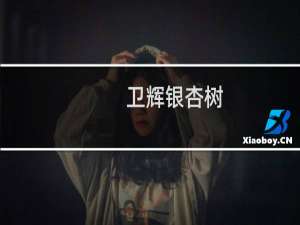 卫辉银杏树