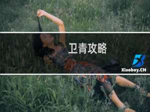 卫青攻略