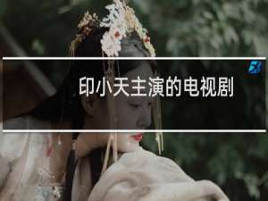 印小天主演的电视剧（这几部都是他主演）