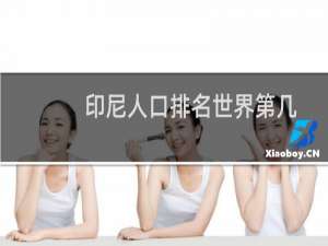 印尼人口排名世界第几